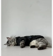 Sleek Black Cat Hoodie