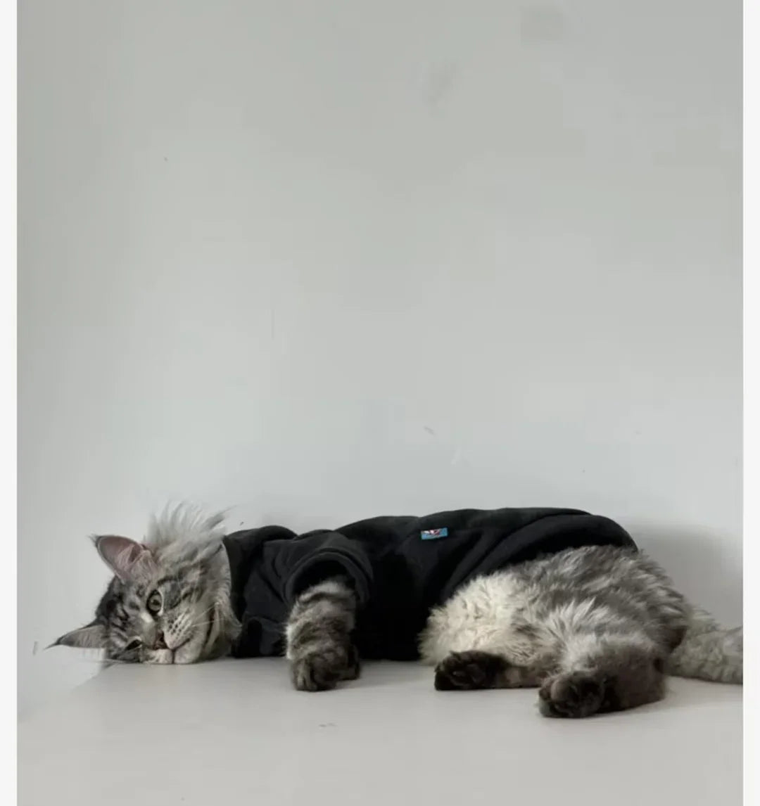 Hoodie Chat Noir Élégant