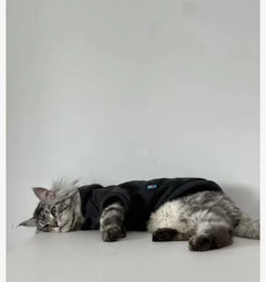 Hoodie Chat Noir Élégant