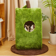 Avocado Dream Katzenkratzbett