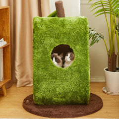 Avocado Dream Cat Scratcher Bed
