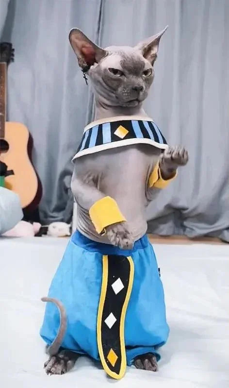 Dragon Ball Beerus der Zerstörer Kostüm