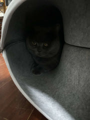 Cama túnel de fieltro para gatos CircleFun (estilo neumático cerrado y seguro)