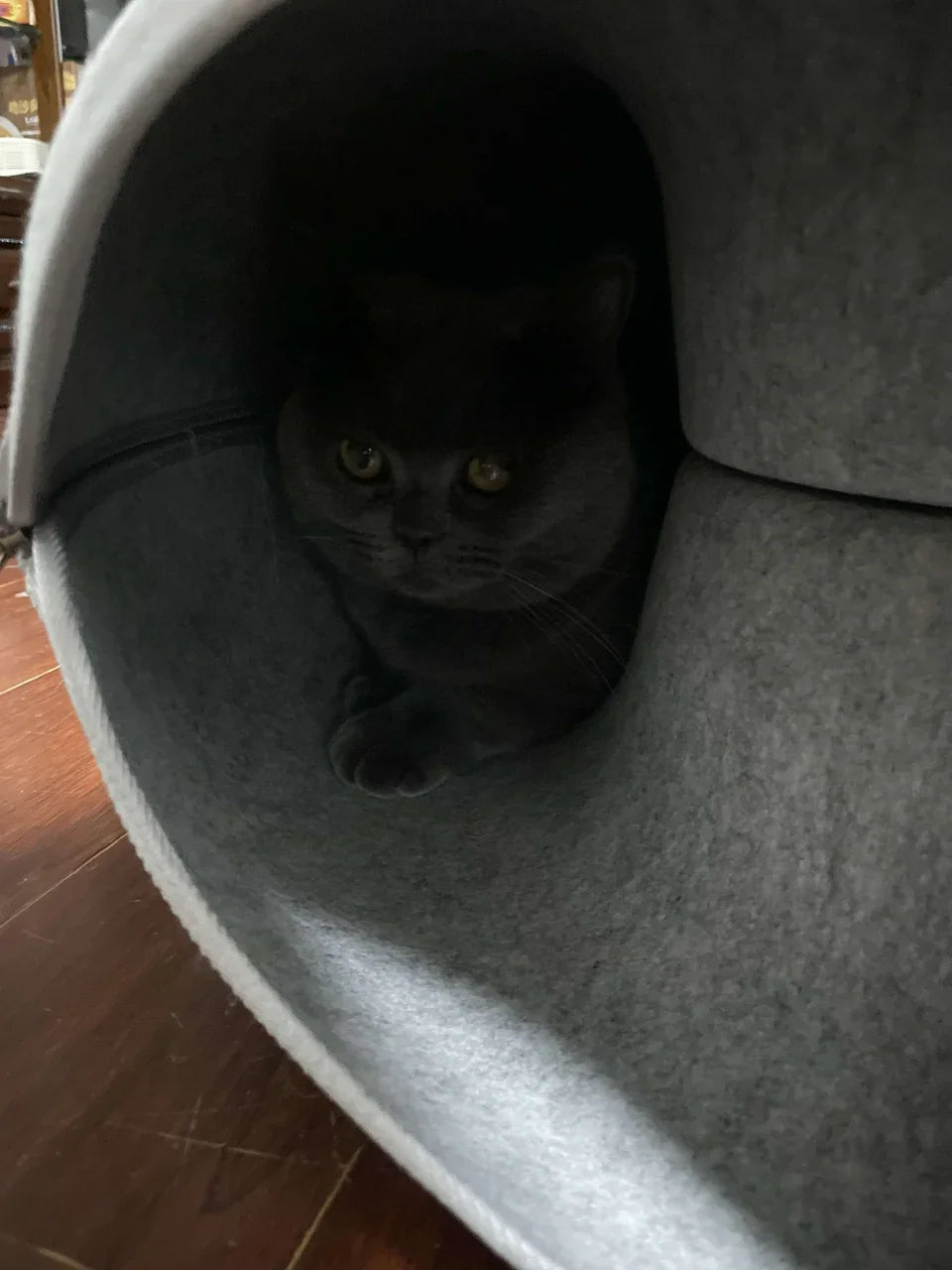 Cama túnel de fieltro para gatos CircleFun (estilo neumático cerrado y seguro)