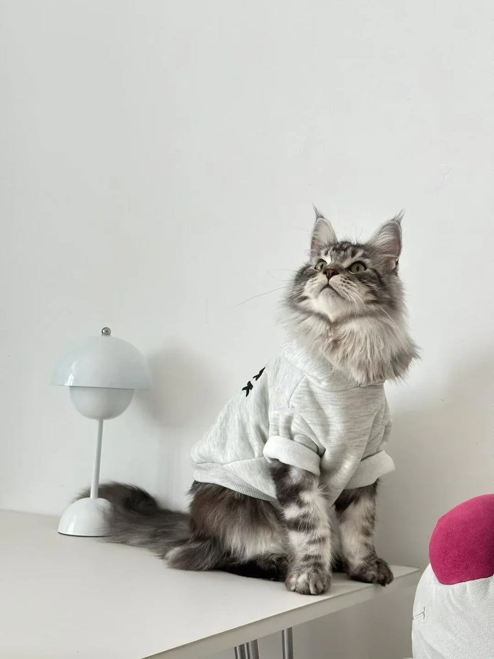 Sudadera informal con capucha "Cool Cat" para gatos