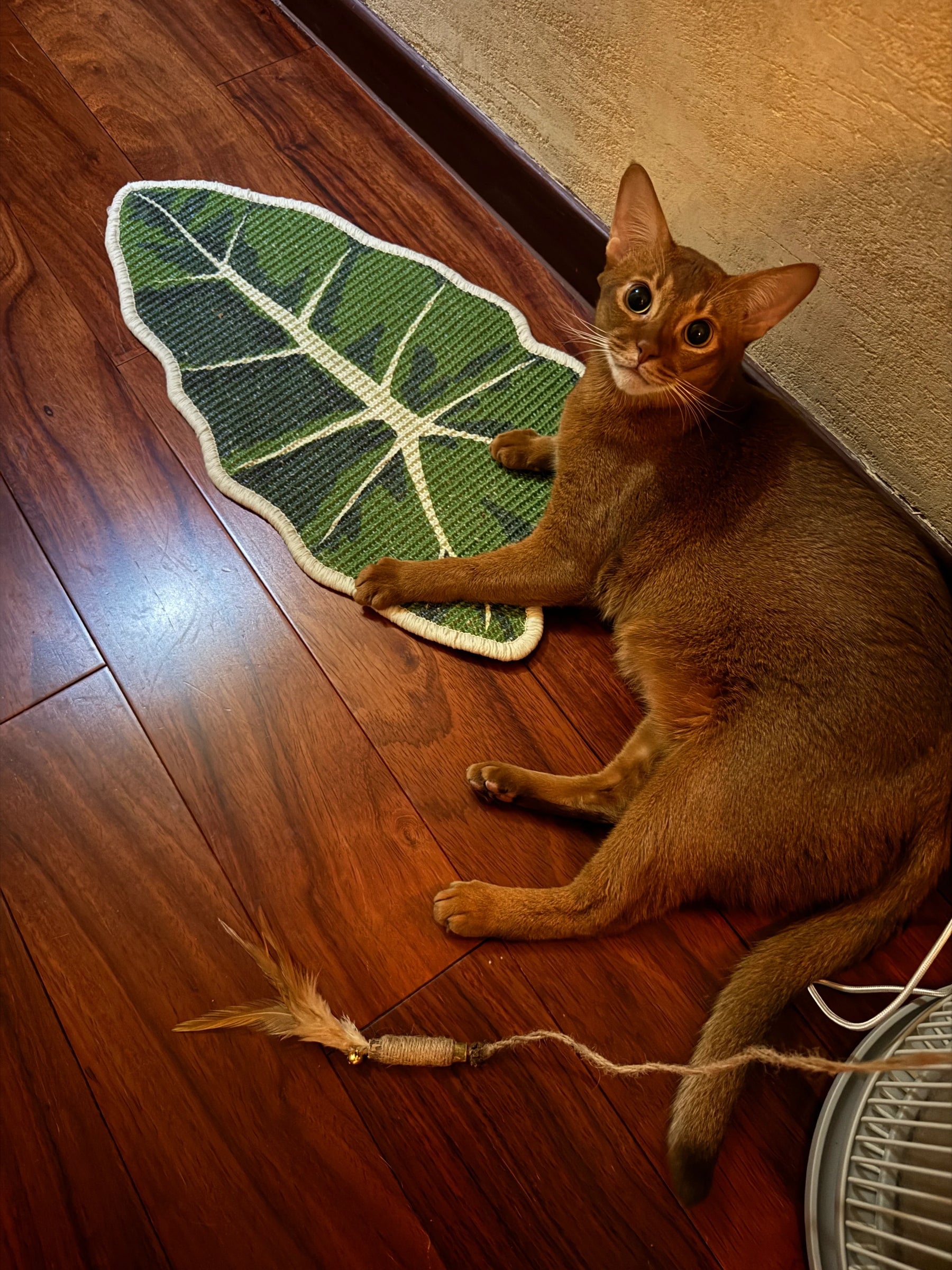 Rascador para gatos Green Plant Series