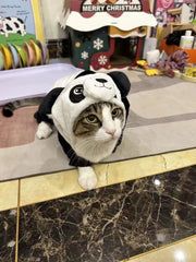 Panda Cat Hoodie