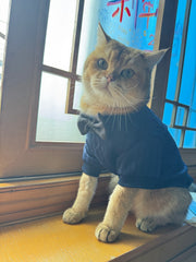 Gentleman Paws gestrickte Katzenkleidung
