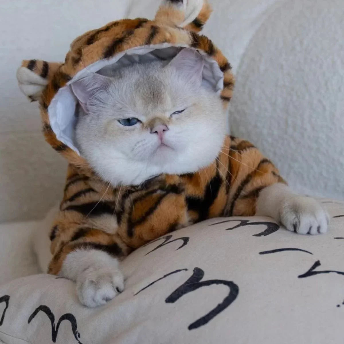 Costume Chat à Capuche Style Tigre