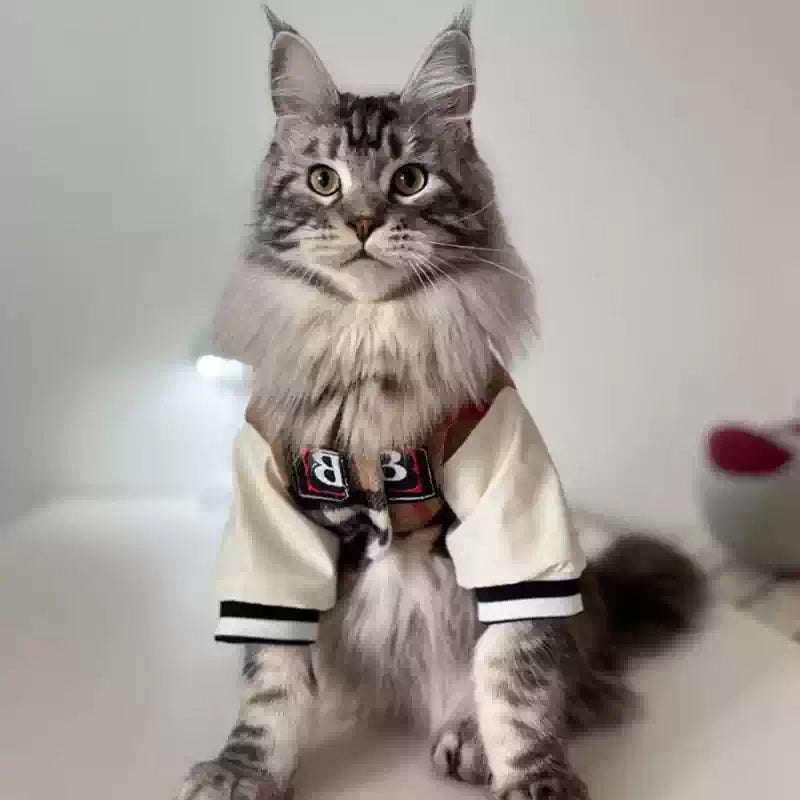 "Feline MVP" Cat Baseball Jersey