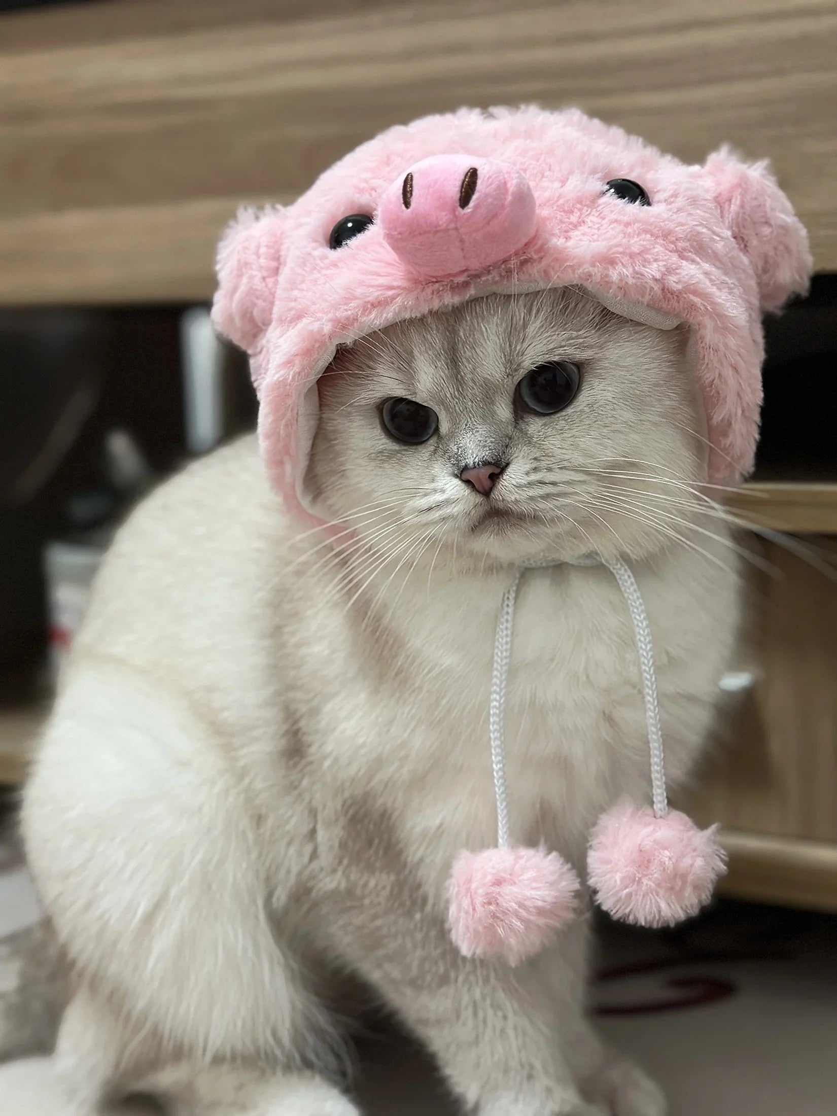 Piggy Pink Cat Hat