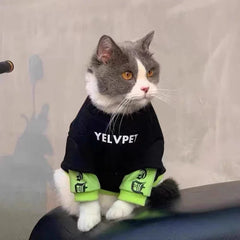 Sweat-shirt Chat Urbain