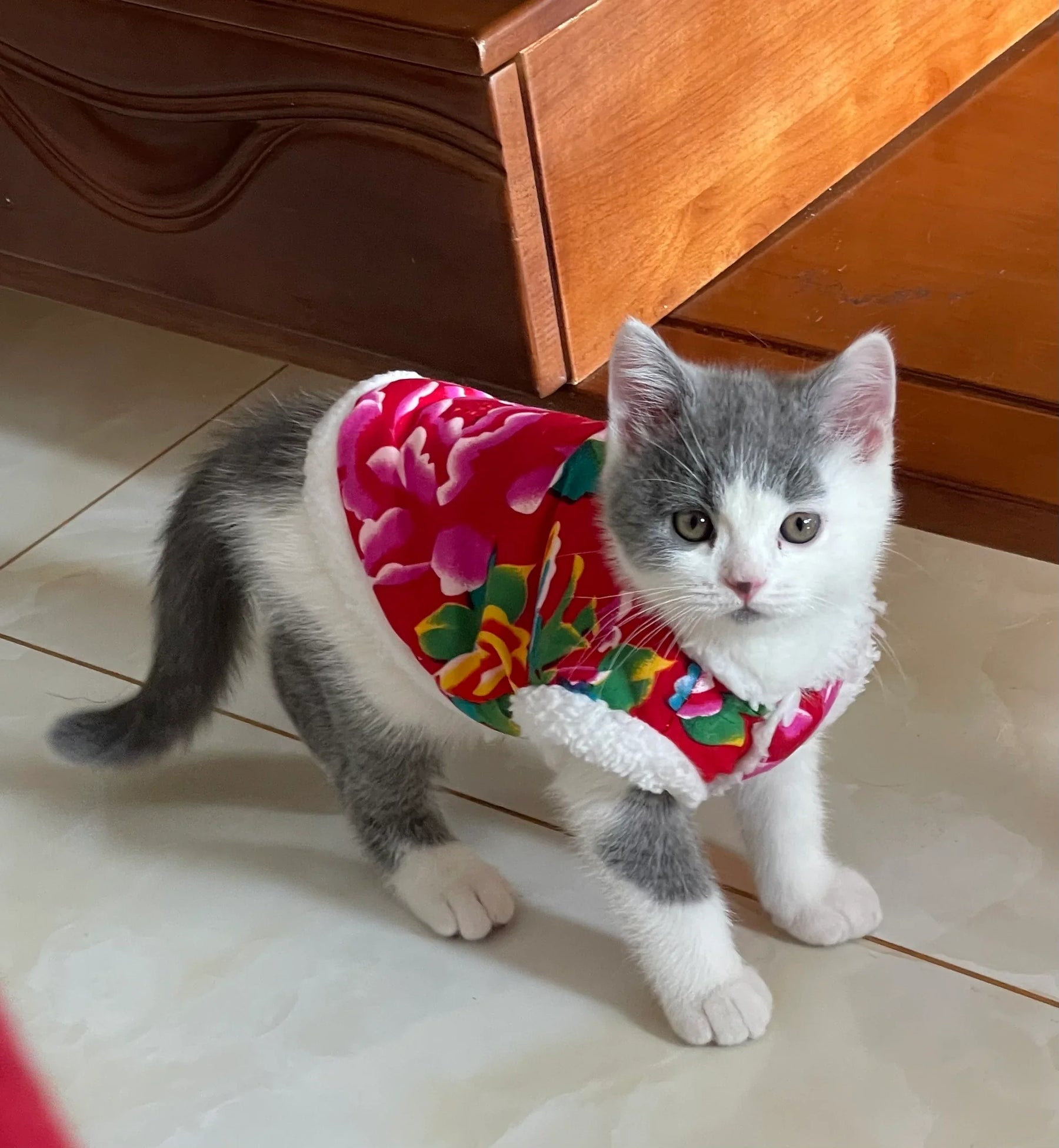 Chaqueta de gato con estampado floral de estilo folklórico chino