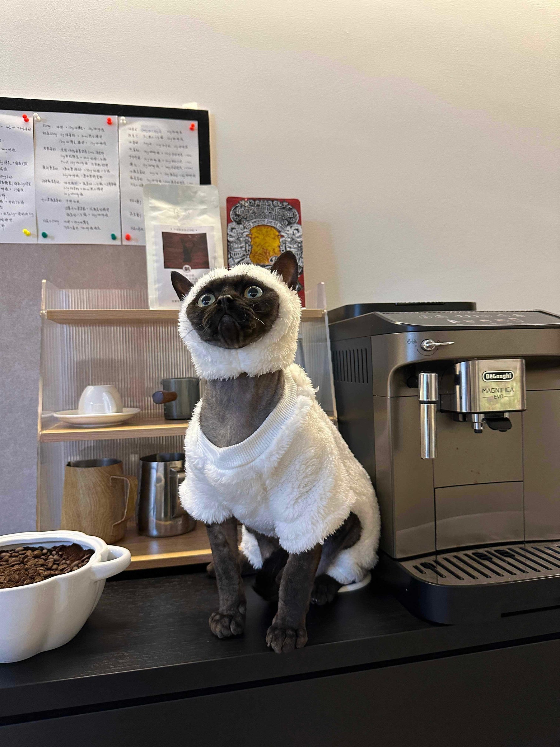 Sheep Funny Costume