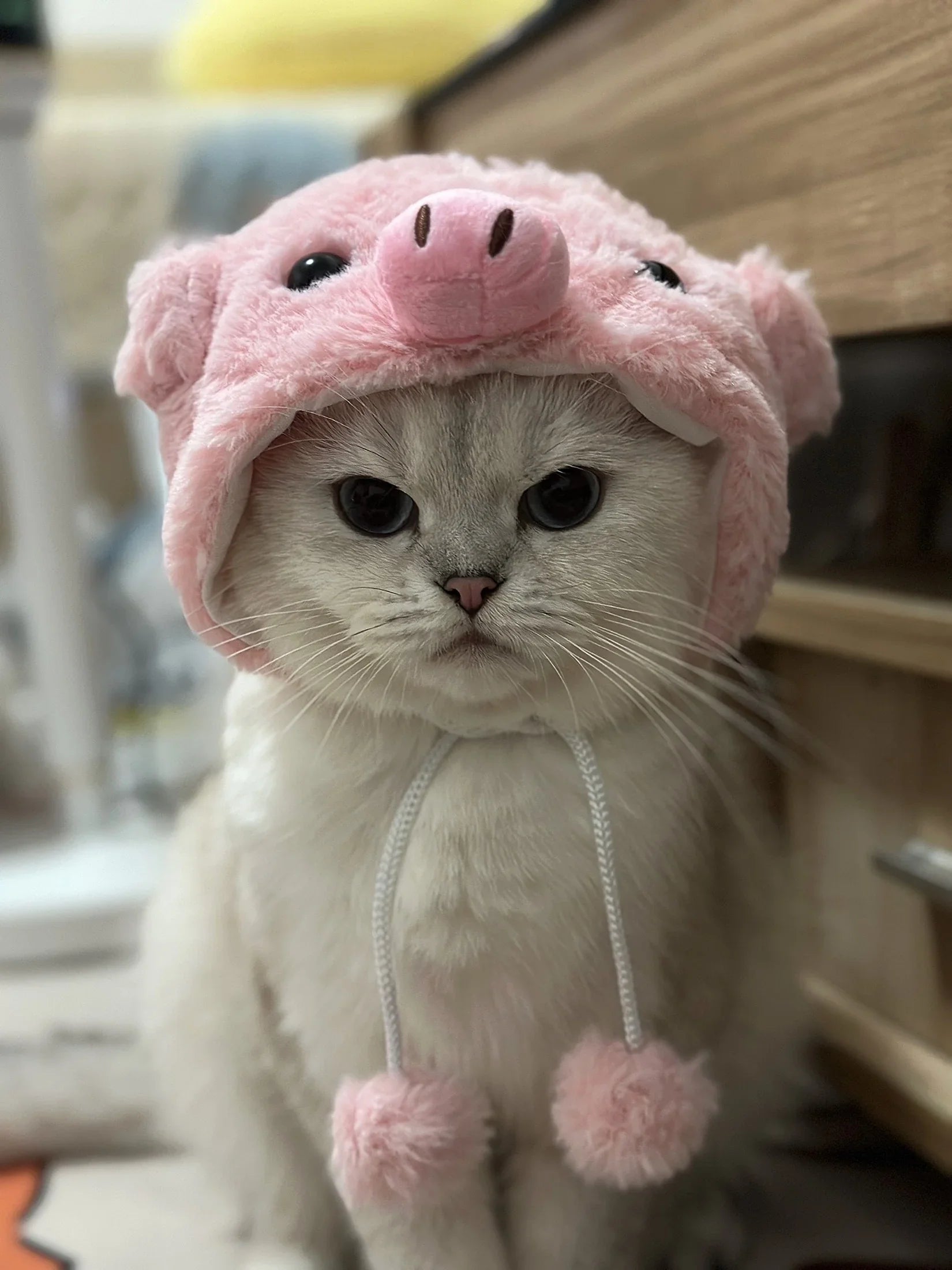 Piggy Pink Cat Hat