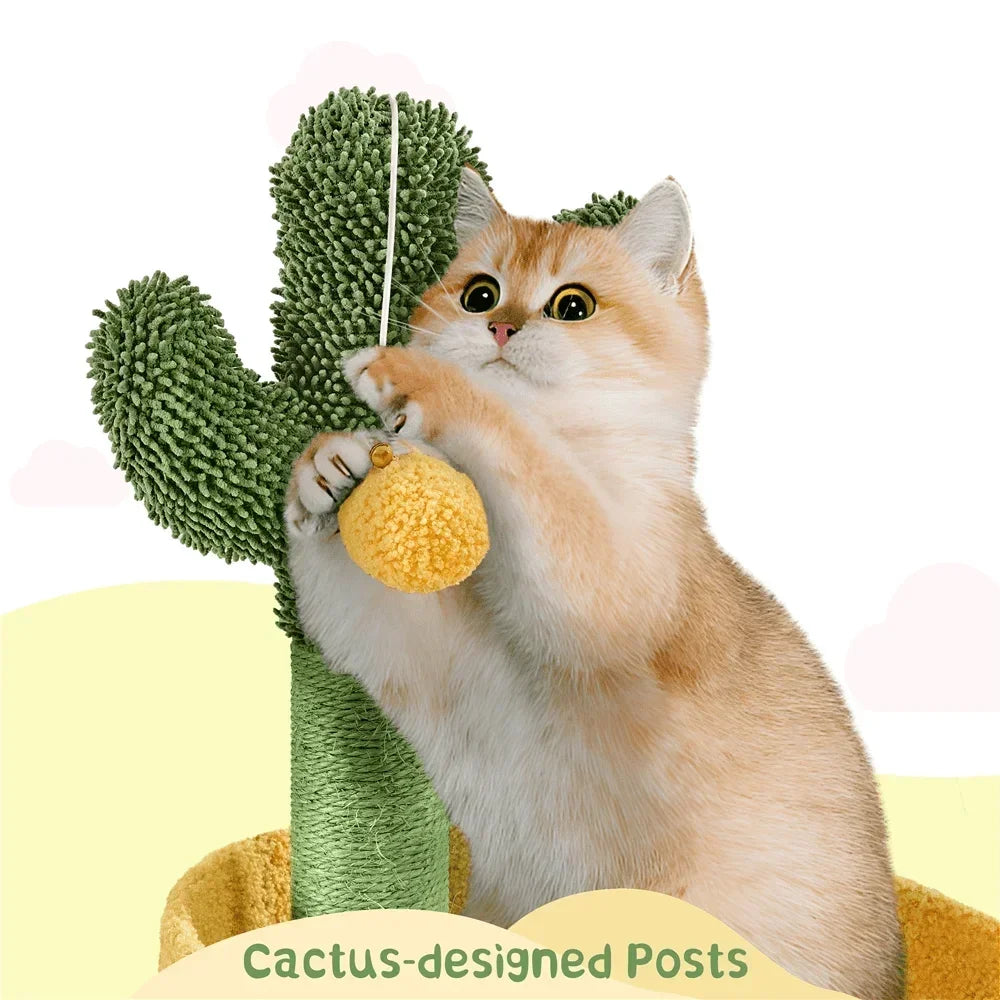 Niedlicher Katzenbaum aus Sukkulentenkaktus