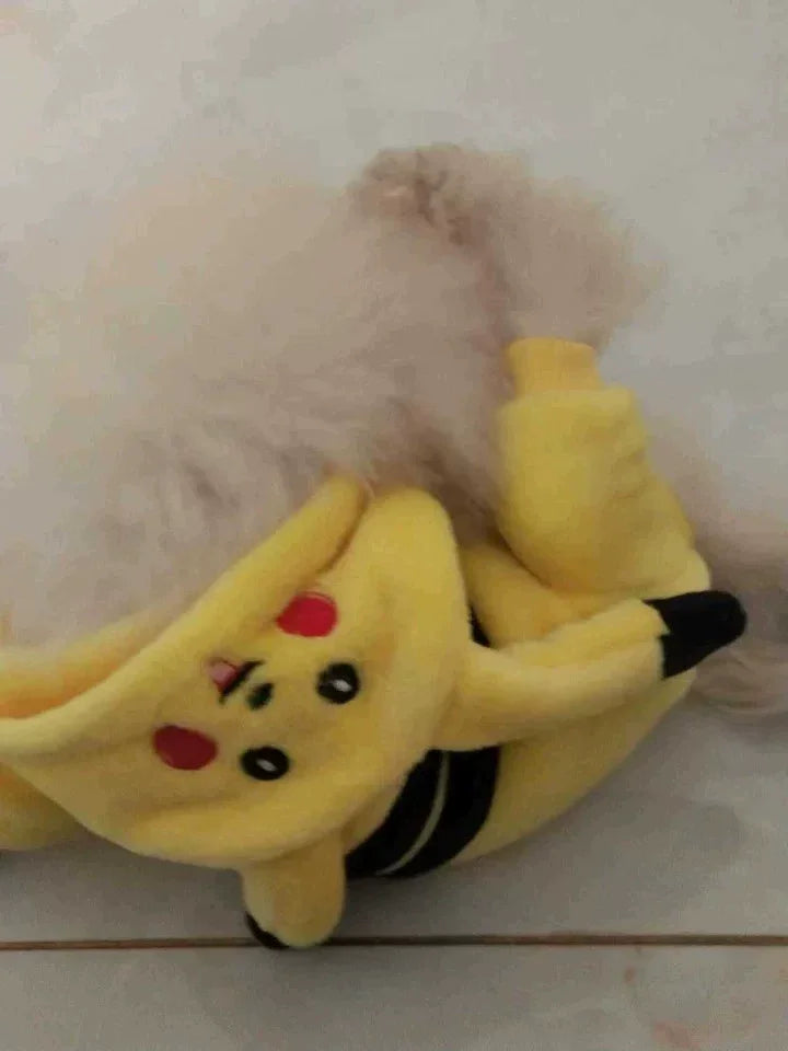 Pikachu costume