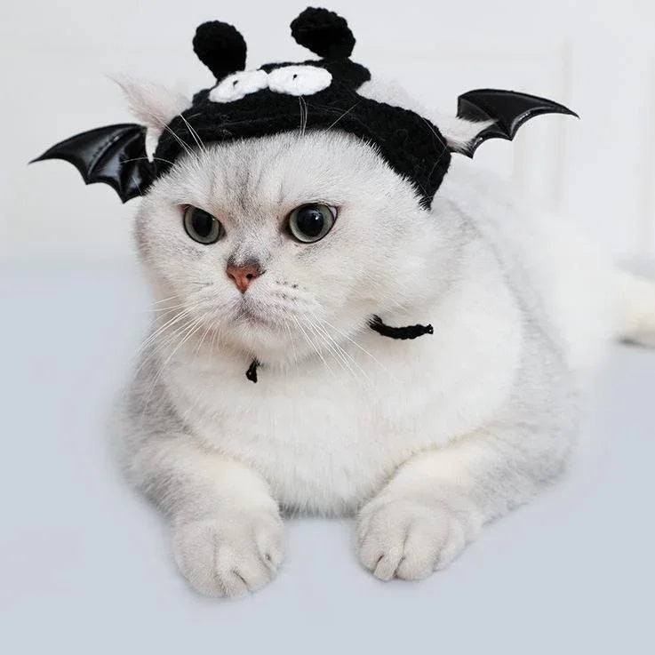 Lindo disfraz de murciélago para mascota de Halloween 