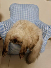 Zitronenkariertes Katzen-Minisofa 