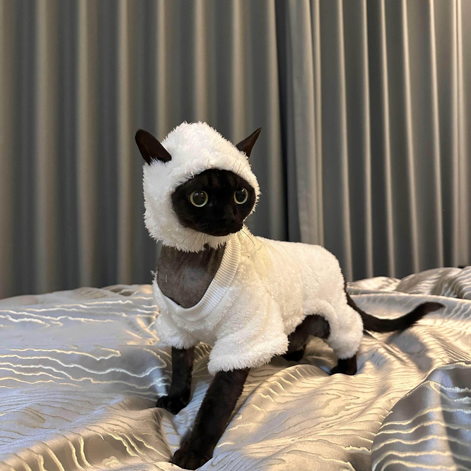 Sheep Funny Costume
