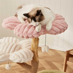 Flower Cloud-Top Fruitwood Cat Tree