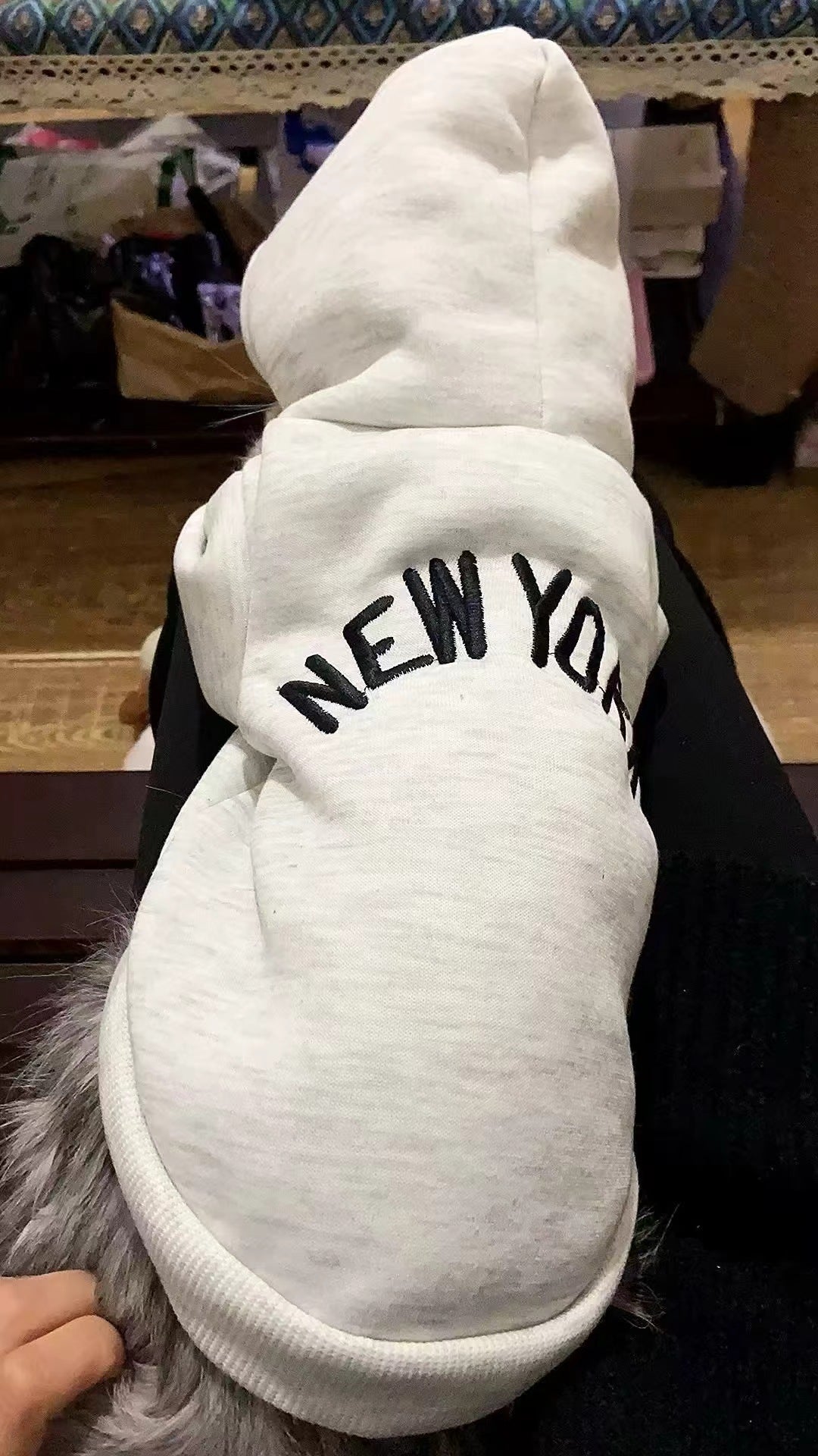 "Cool Cat" Casual Hoodie for Cats