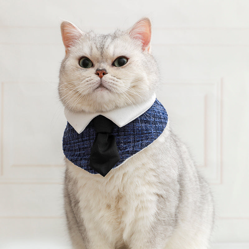 Gentleman Cat Plaid Bowtie
