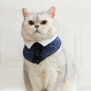 Gentleman Cat Plaid Fliege