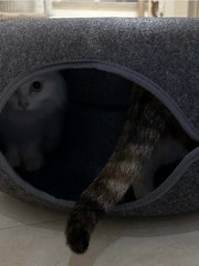 Cama túnel de fieltro para gatos CircleFun (estilo neumático cerrado y seguro)