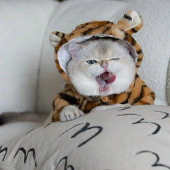 Costume Chat à Capuche Style Tigre