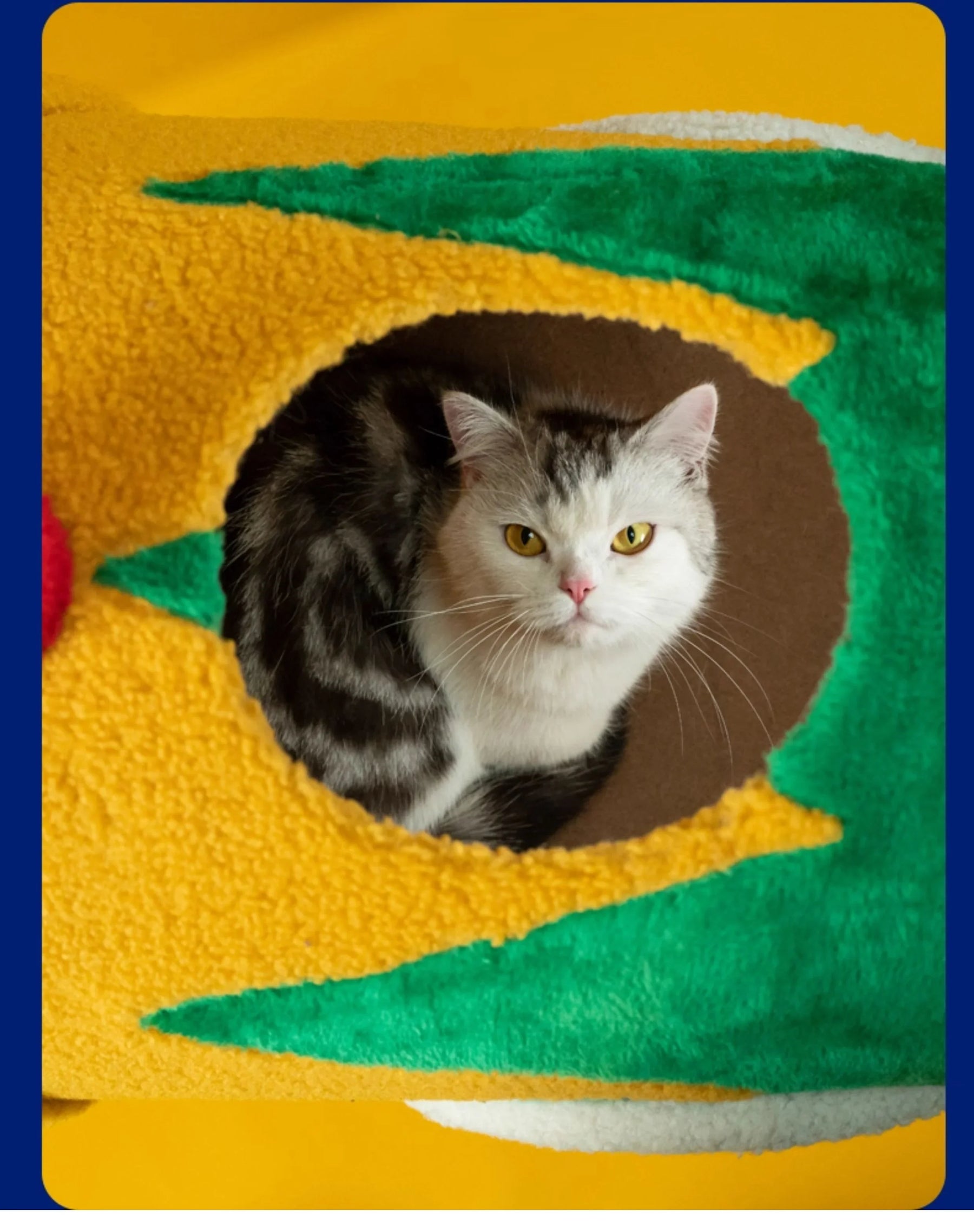 Circus Fun Katzenwohnserie (einschließlich Kratzbäume und Katzenbett) 