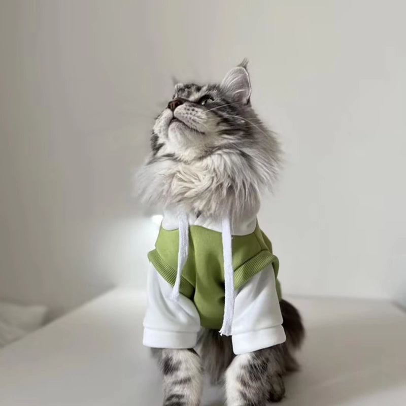 "Chic Green Layered Cat Hoodie"