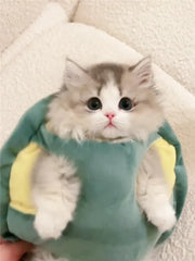 Turtle Shell Clothes