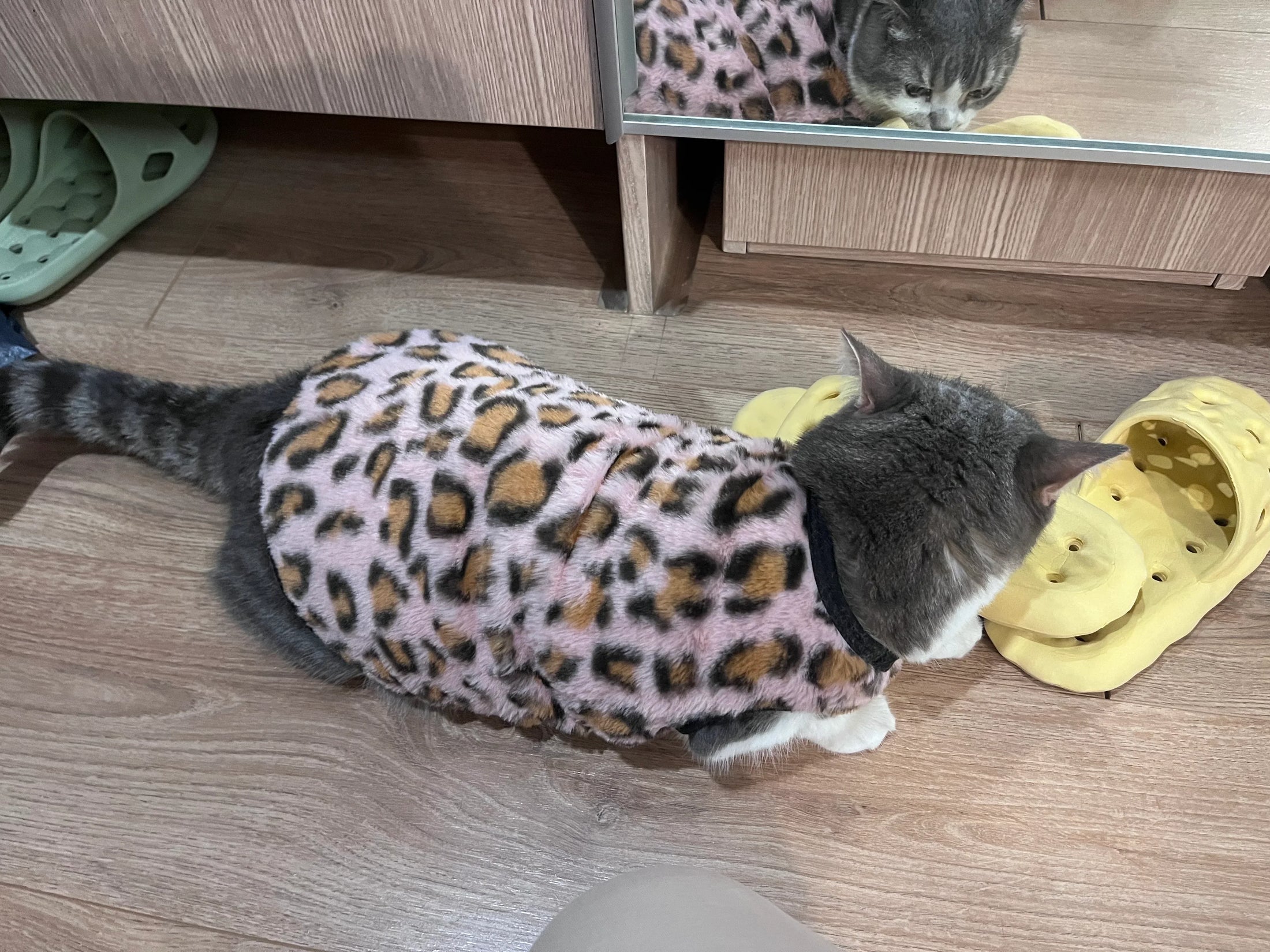Fleece Chat Imprimé Léopard