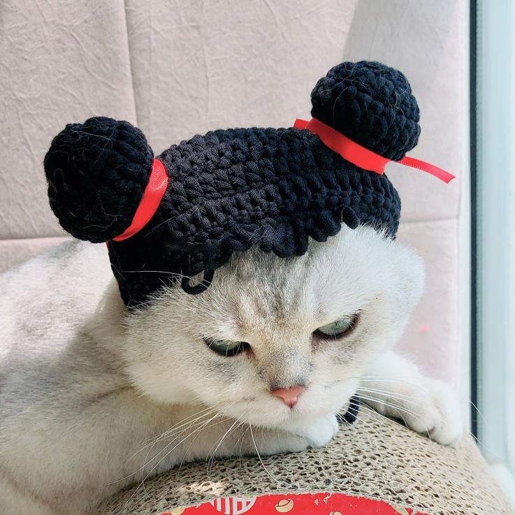 Crocheted Bun Cat Hat