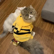 Pikachu costume