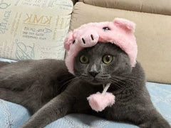 Piggy Pink Cat Hat