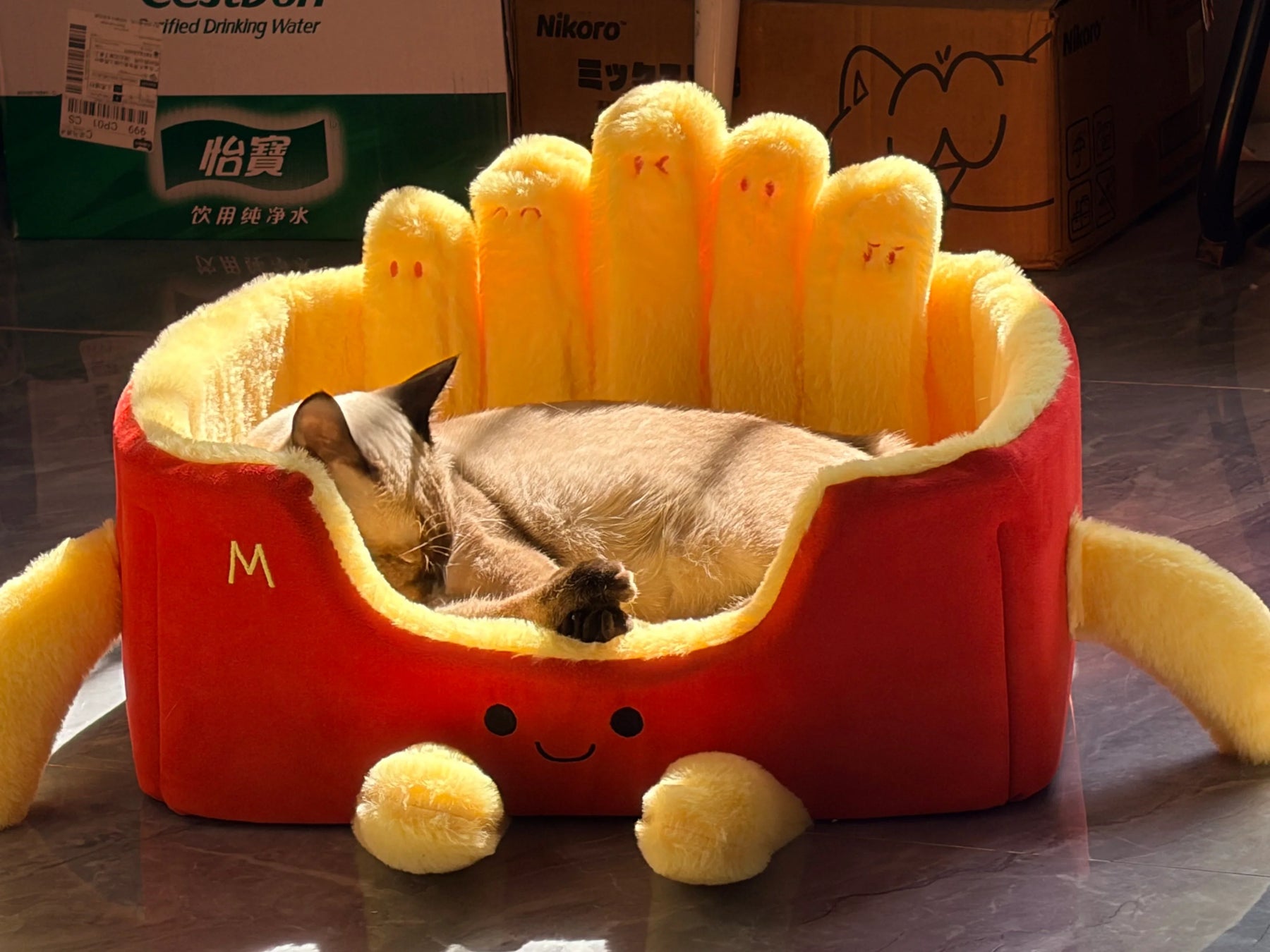 Katzenbett aus einer Pommes-Frites-Box 