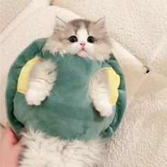 Turtle Shell Clothes