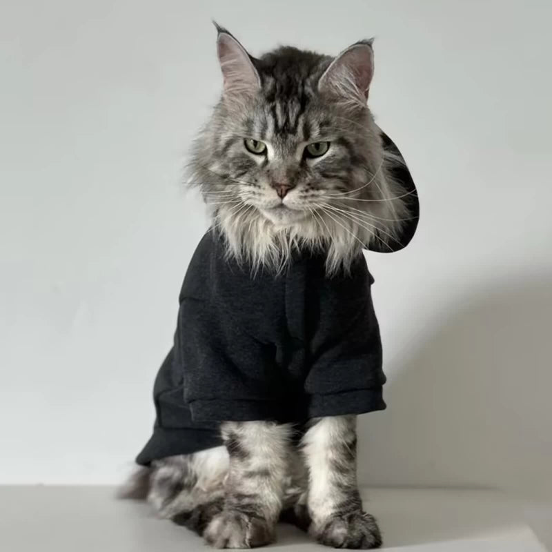 Sleek Black Cat Hoodie