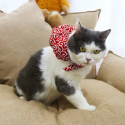 Katze läuft von zu Hause weg (Set)