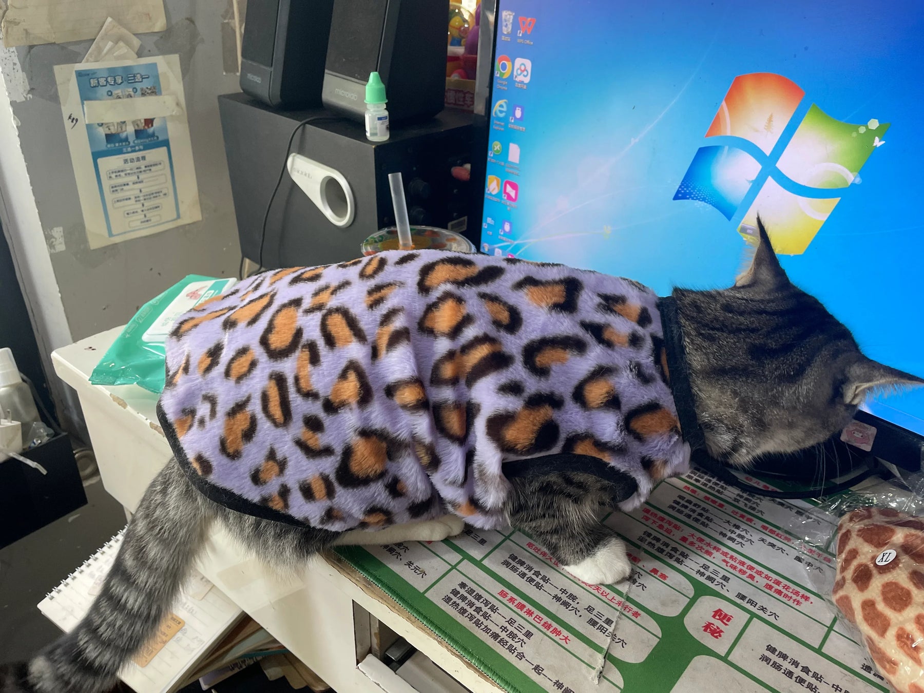 Leopard Print Fleece Cat `