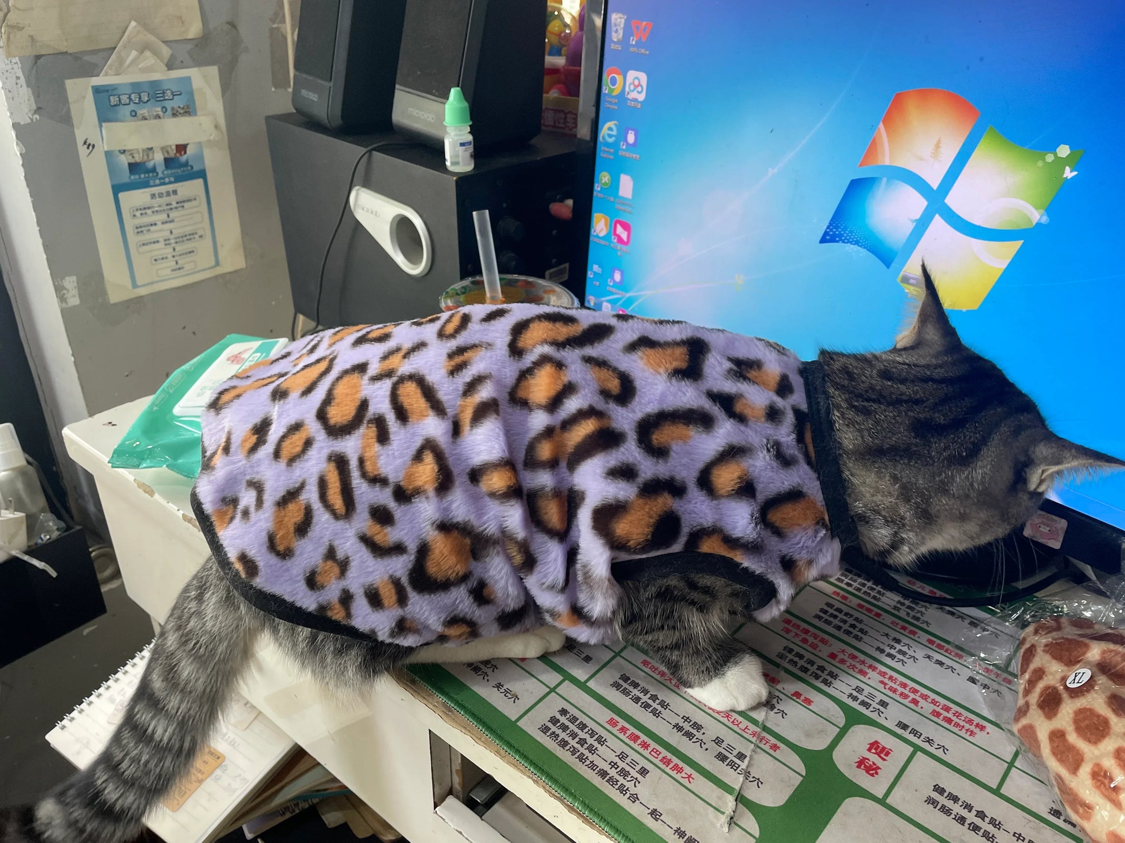 Fleece Chat Imprimé Léopard