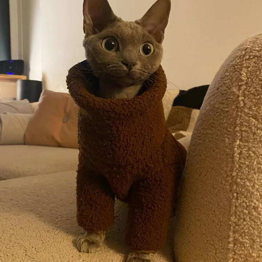 Cozy High - Neck Cat Arctic Fleece