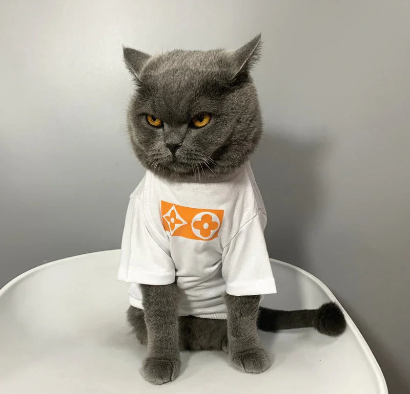 Luxus-Katzen-T-Shirt