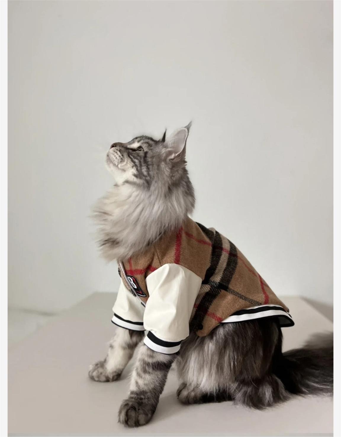 "Feline MVP" Cat Baseball Jersey