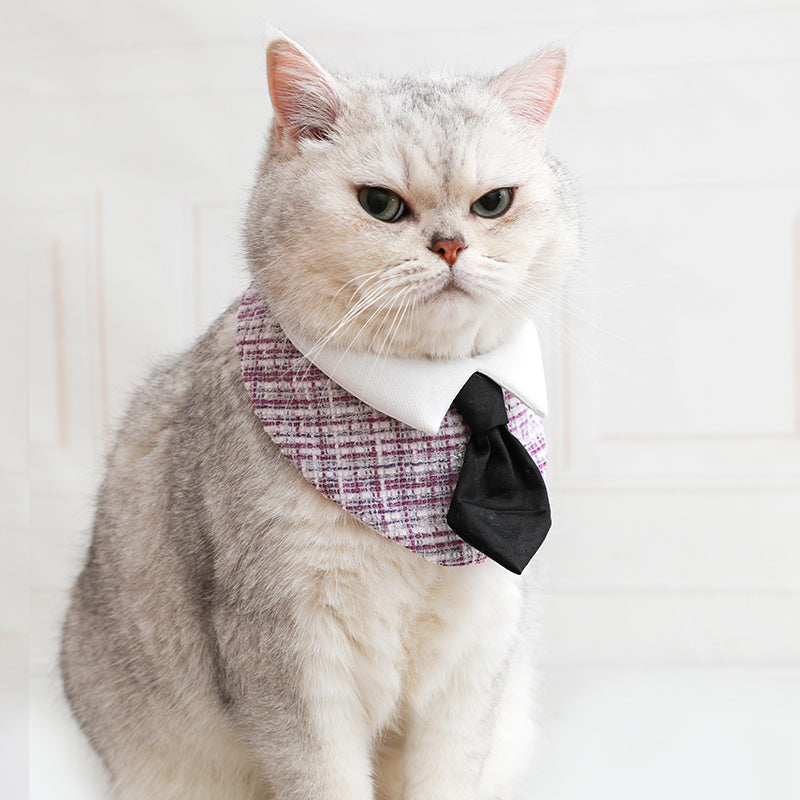 Gentleman Cat Plaid Bowtie