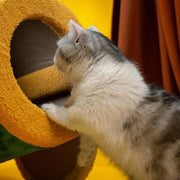 Circus Fun Katzenwohnserie (einschließlich Kratzbäume und Katzenbett) 