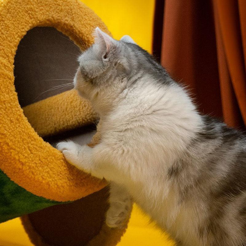 Circus Fun Katzenwohnserie (einschließlich Kratzbäume und Katzenbett) 