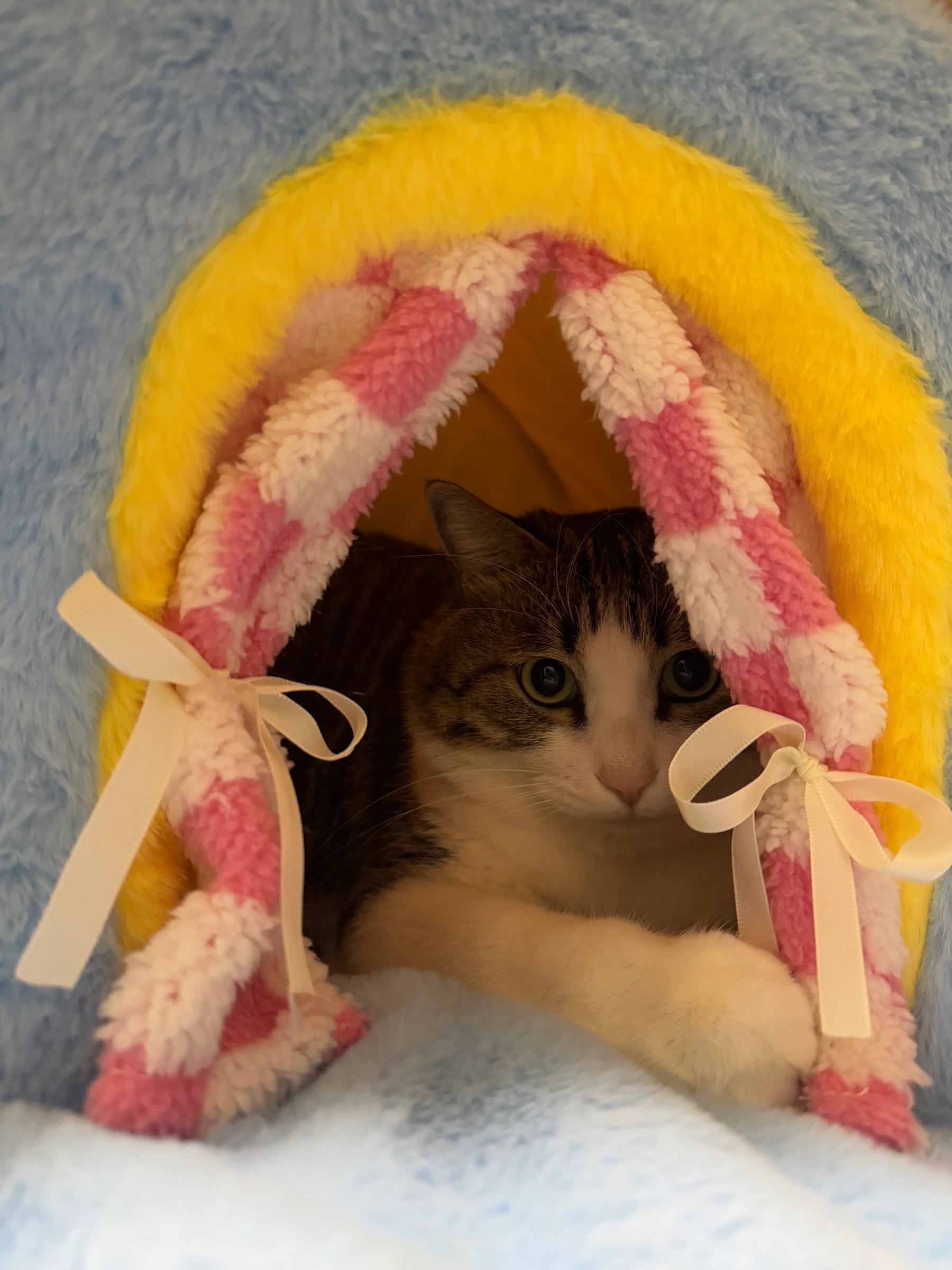 Portable Balcony Cat House
